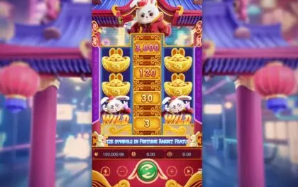 Fortune Rabbit